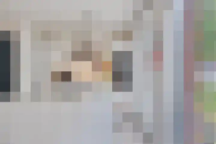 Nieuwe Manegeplein 17 Haarlem thumbnail 11
