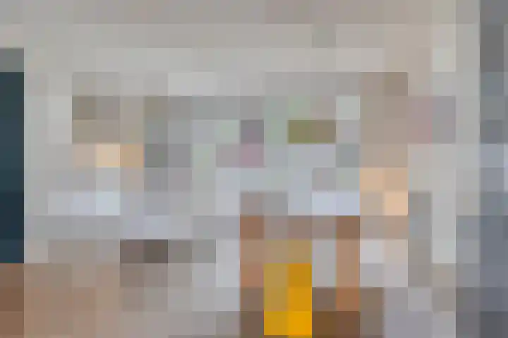 Nieuwe Manegeplein 17 Haarlem thumbnail 12