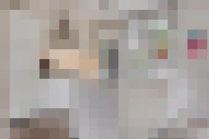 Nieuwe Manegeplein 17 Haarlem thumbnail 13