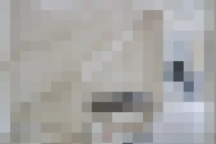 Nieuwe Manegeplein 17 Haarlem thumbnail 17