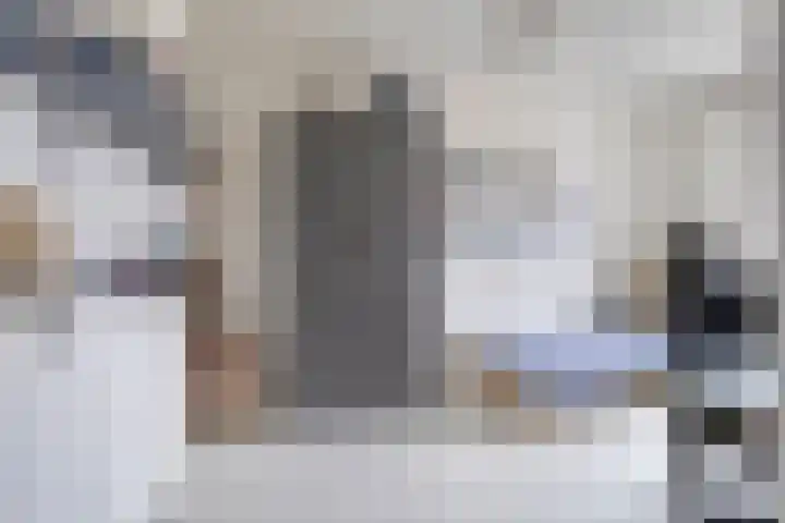 Nieuwe Manegeplein 17 Haarlem thumbnail 18