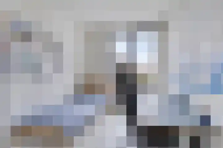 Nieuwe Manegeplein 17 Haarlem thumbnail 19