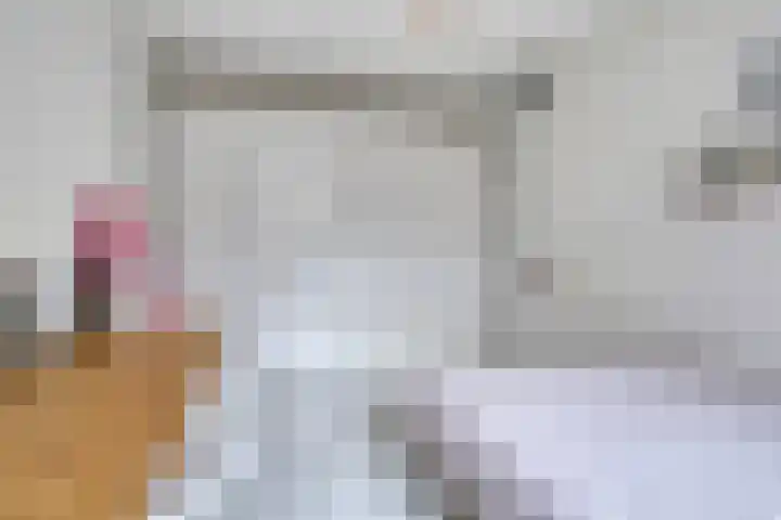 Nieuwe Manegeplein 17 Haarlem thumbnail 22