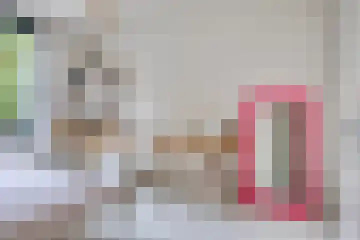 Nieuwe Manegeplein 17 Haarlem thumbnail 23