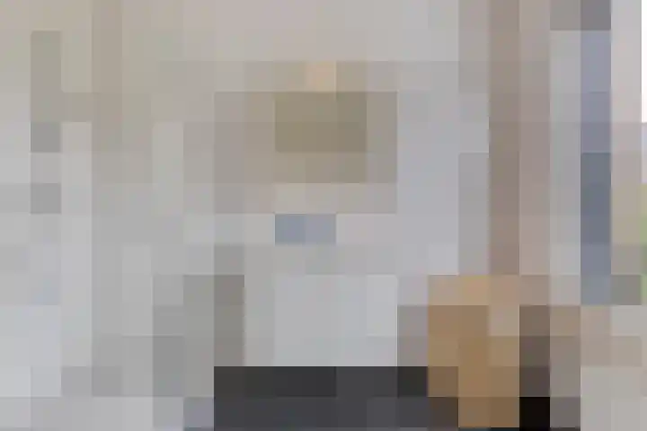 Nieuwe Manegeplein 17 Haarlem thumbnail 26