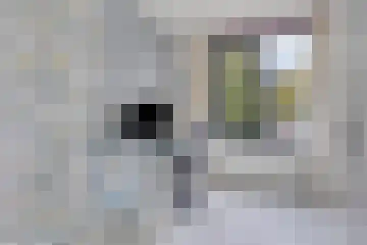 Nieuwe Manegeplein 17 Haarlem thumbnail 27