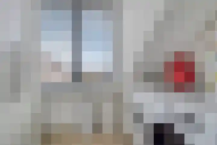Nieuwe Manegeplein 17 Haarlem thumbnail 29