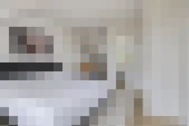 Nieuwe Manegeplein 17 Haarlem thumbnail 31