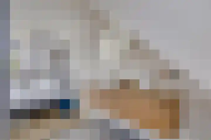 Nieuwe Manegeplein 17 Haarlem thumbnail 37