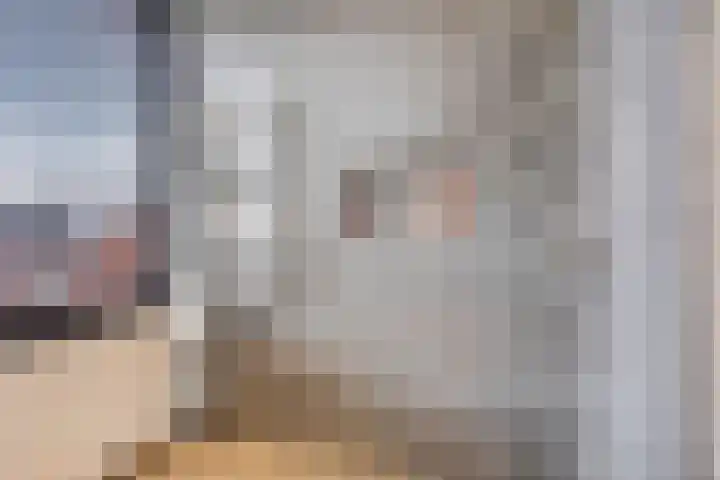 Nieuwe Manegeplein 17 Haarlem thumbnail 38