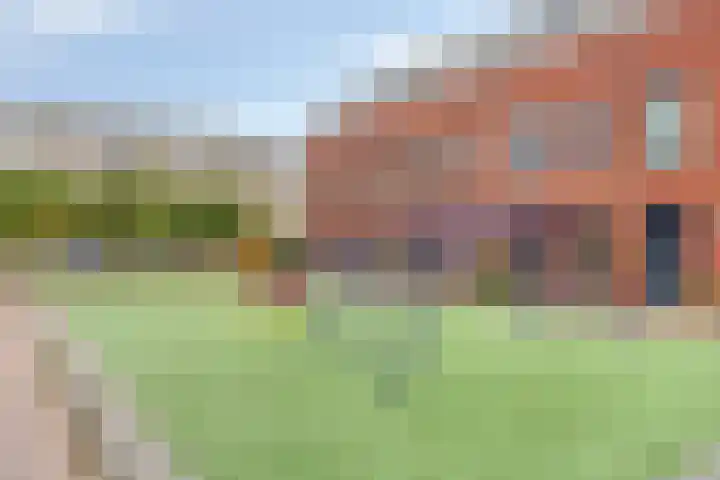 Nieuwe Manegeplein 17 Haarlem thumbnail 41