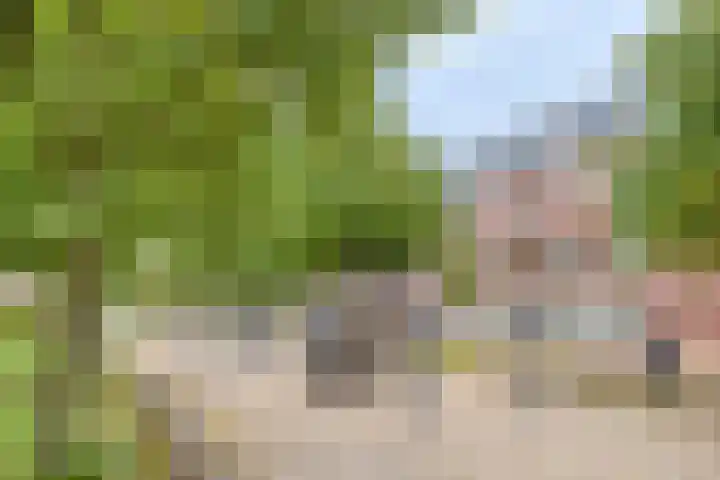 Nieuwe Manegeplein 17 Haarlem thumbnail 42