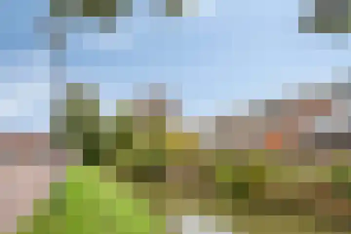 Nieuwe Manegeplein 17 Haarlem thumbnail 43