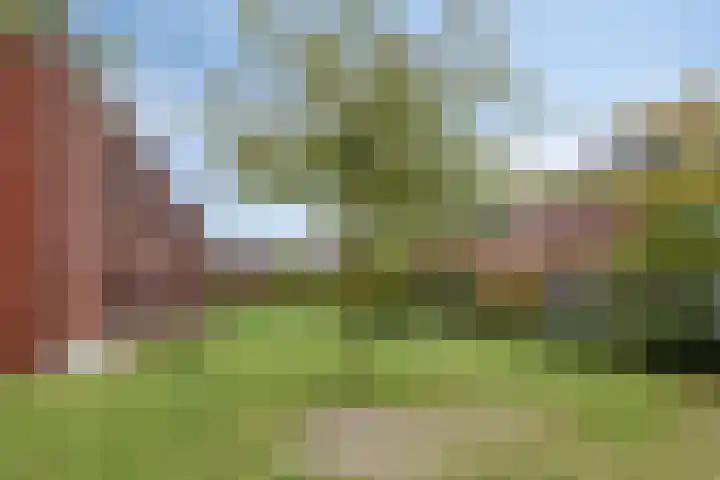 Nieuwe Manegeplein 17 Haarlem thumbnail 44