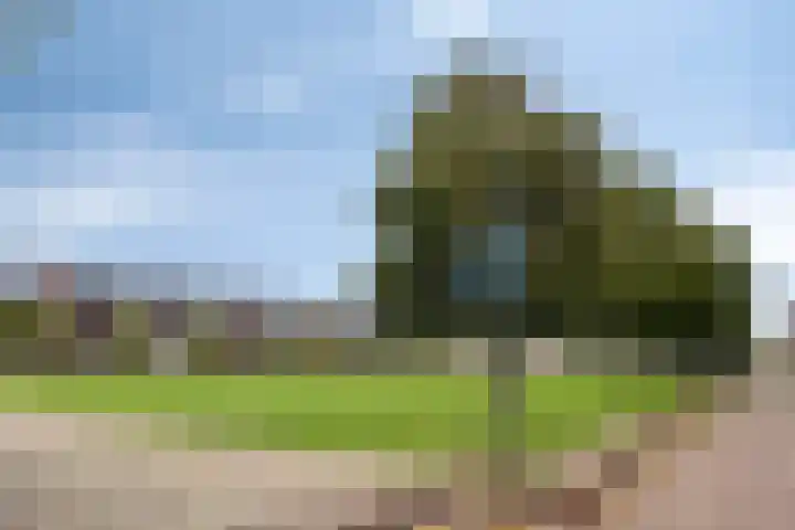 Nieuwe Manegeplein 17 Haarlem thumbnail 46