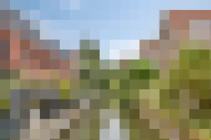 Nieuwe Manegeplein 17 Haarlem thumbnail 47