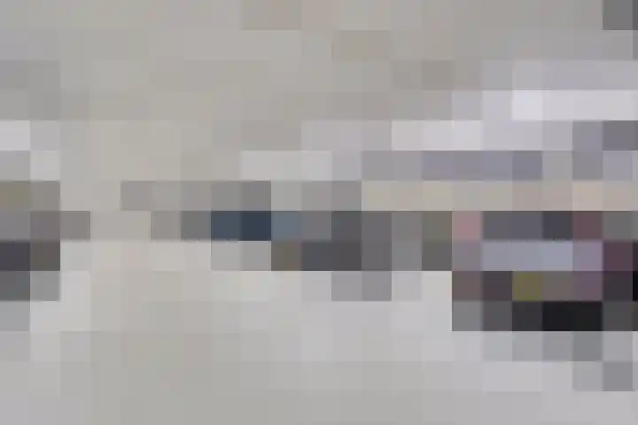 Nieuwe Manegeplein 17 Haarlem thumbnail 48