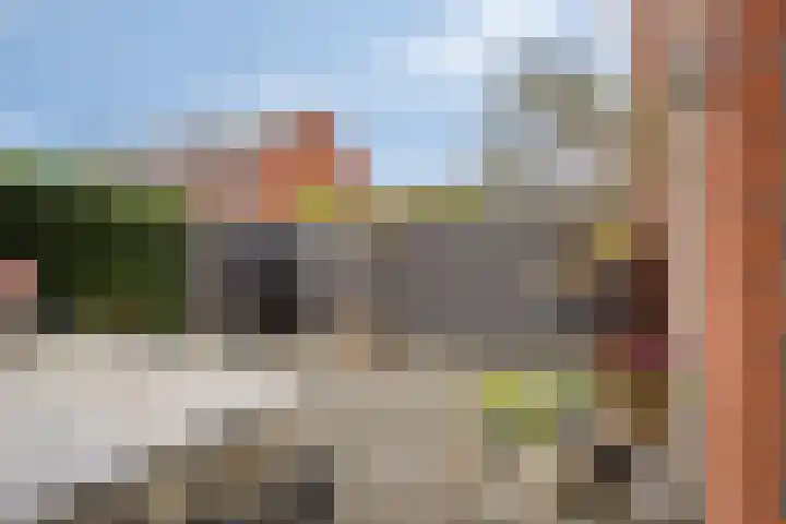 Nieuwe Manegeplein 17 Haarlem thumbnail 5