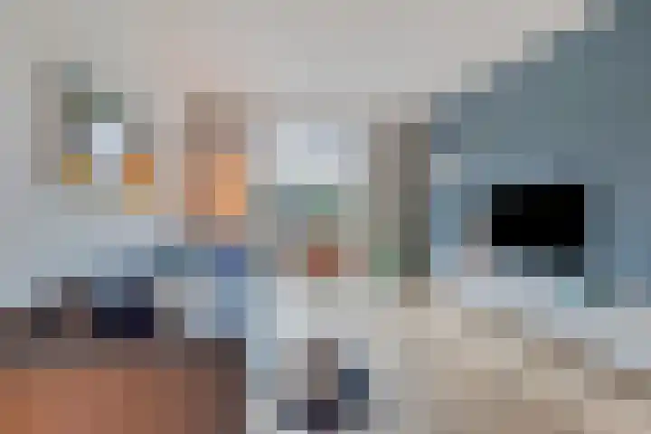 Nieuwe Manegeplein 17 Haarlem thumbnail 7