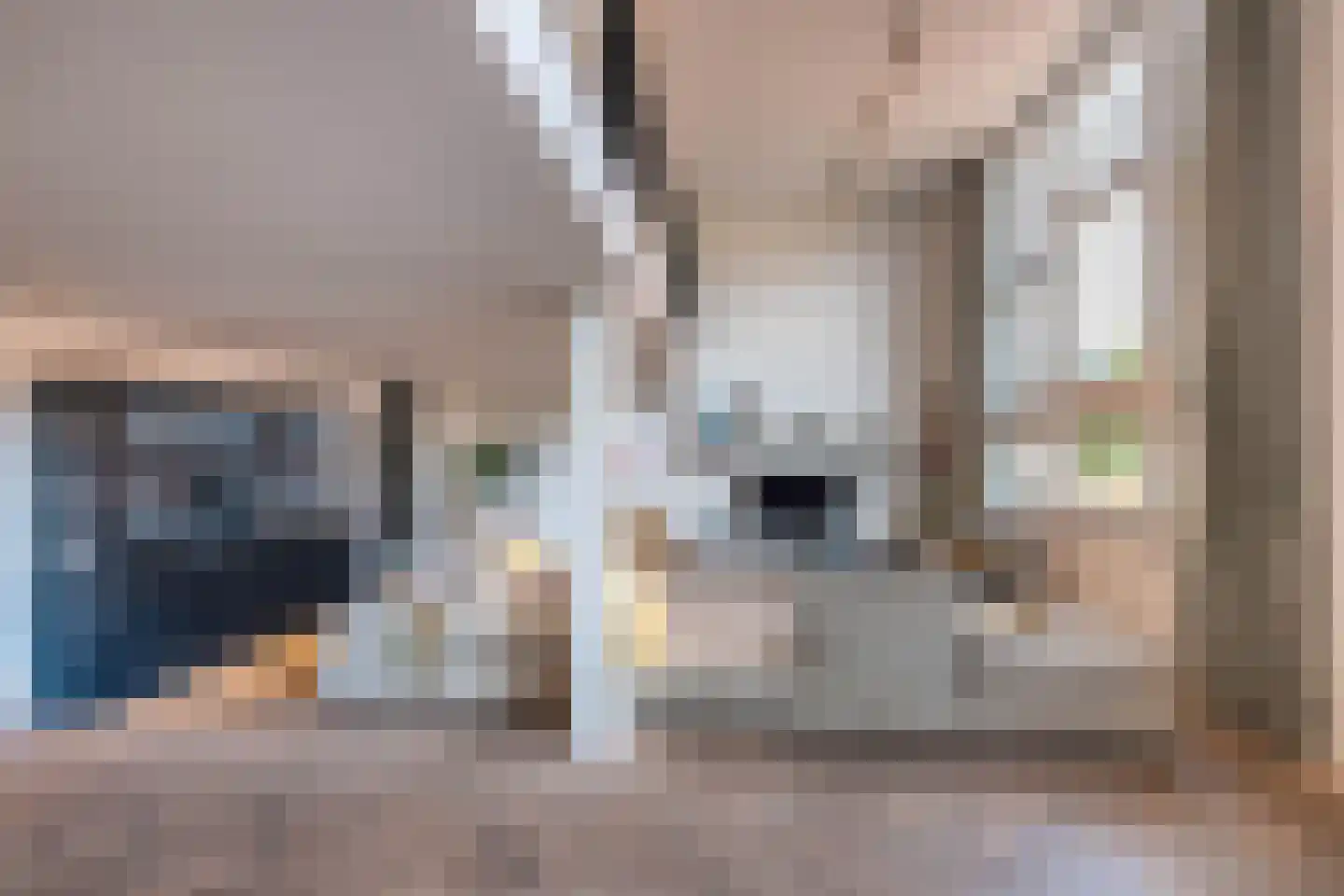 Nieuwe Manegeplein 8 Haarlem thumbnail 10