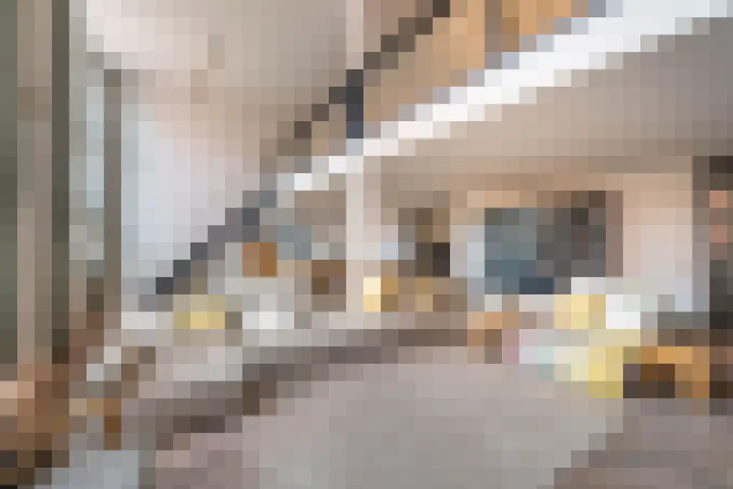 Nieuwe Manegeplein 8 Haarlem thumbnail 11
