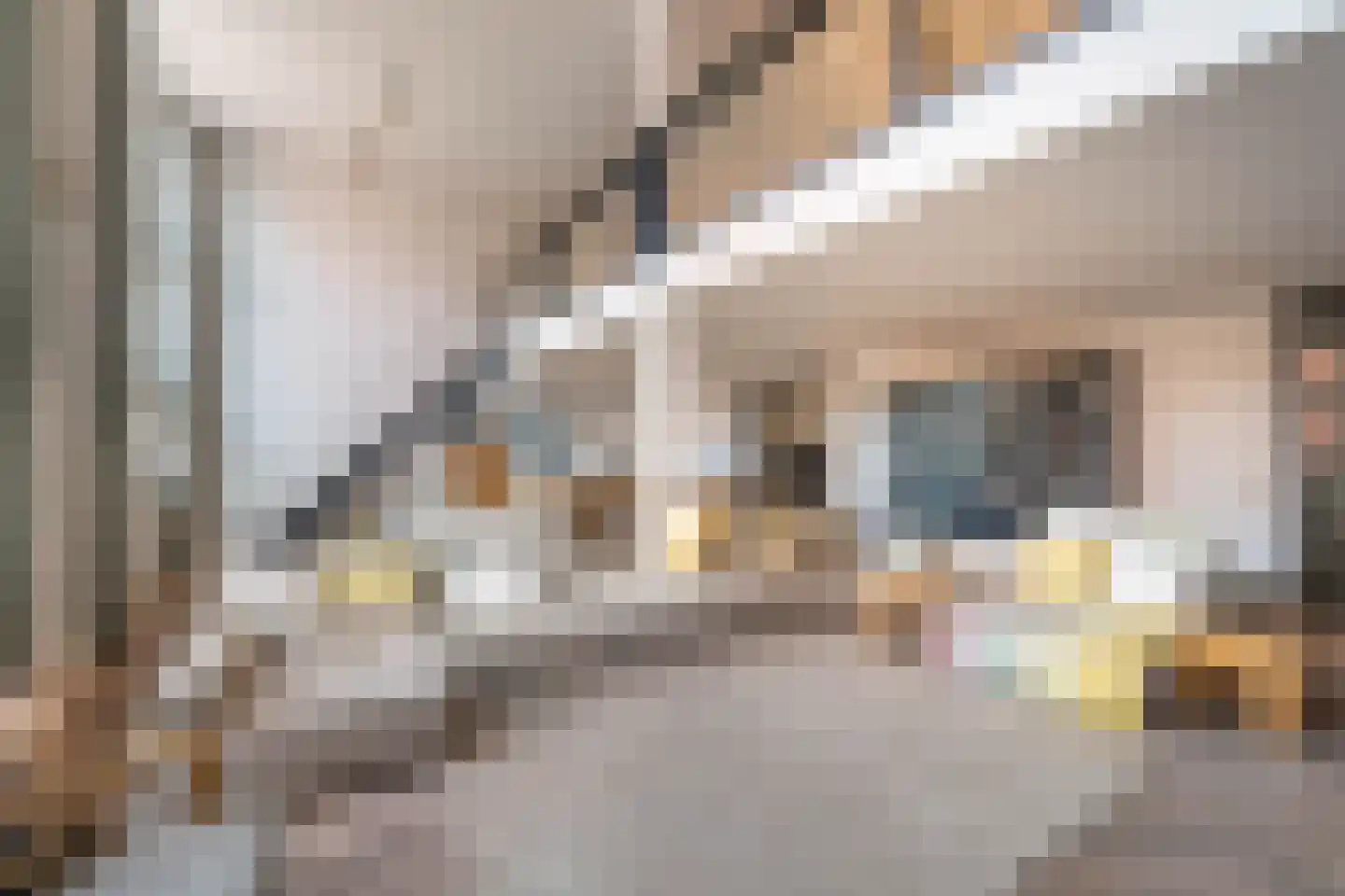 Nieuwe Manegeplein 8 Haarlem thumbnail 11