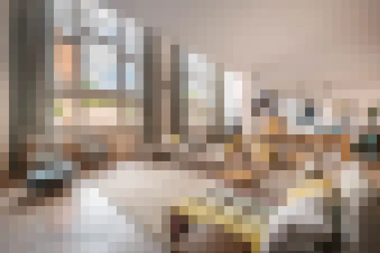 Nieuwe Manegeplein 8 Haarlem thumbnail 12