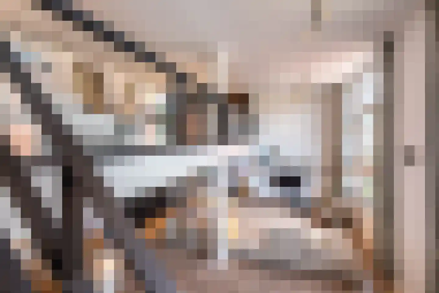 Nieuwe Manegeplein 8 Haarlem thumbnail 13