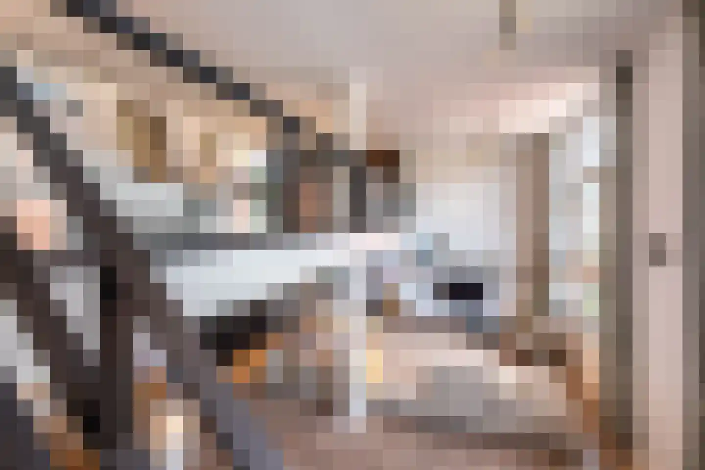 Nieuwe Manegeplein 8 Haarlem thumbnail 13