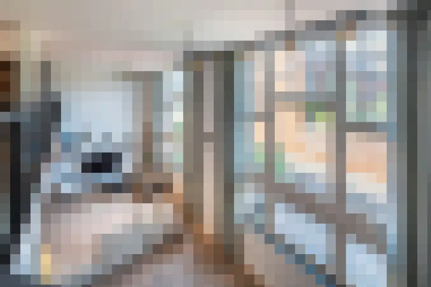 Nieuwe Manegeplein 8 Haarlem thumbnail 14