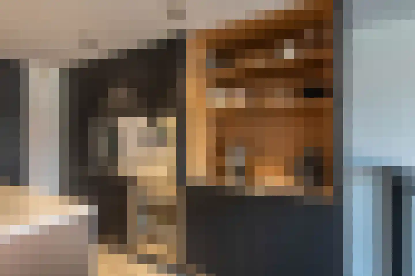 Nieuwe Manegeplein 8 Haarlem thumbnail 20
