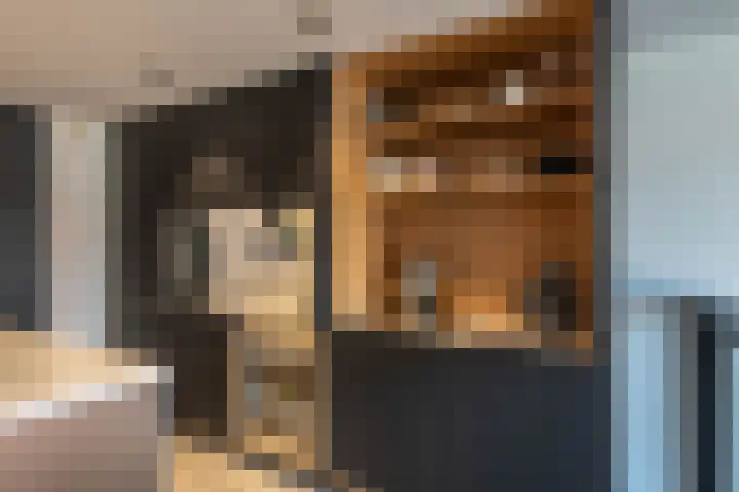 Nieuwe Manegeplein 8 Haarlem thumbnail 21
