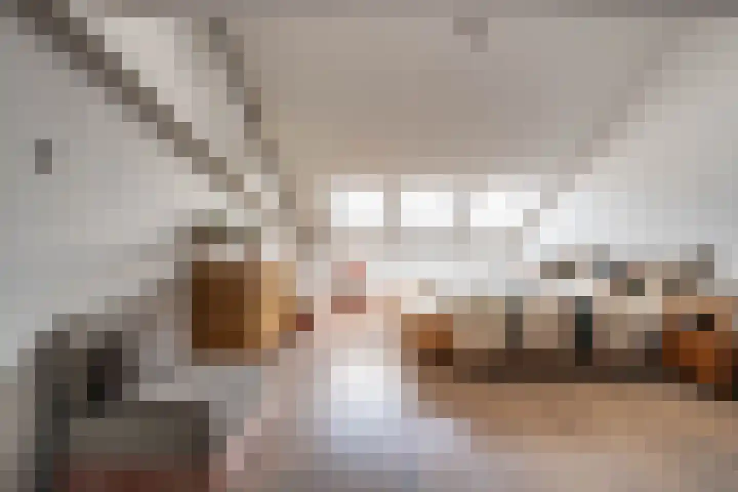 Nieuwe Manegeplein 8 Haarlem thumbnail 22