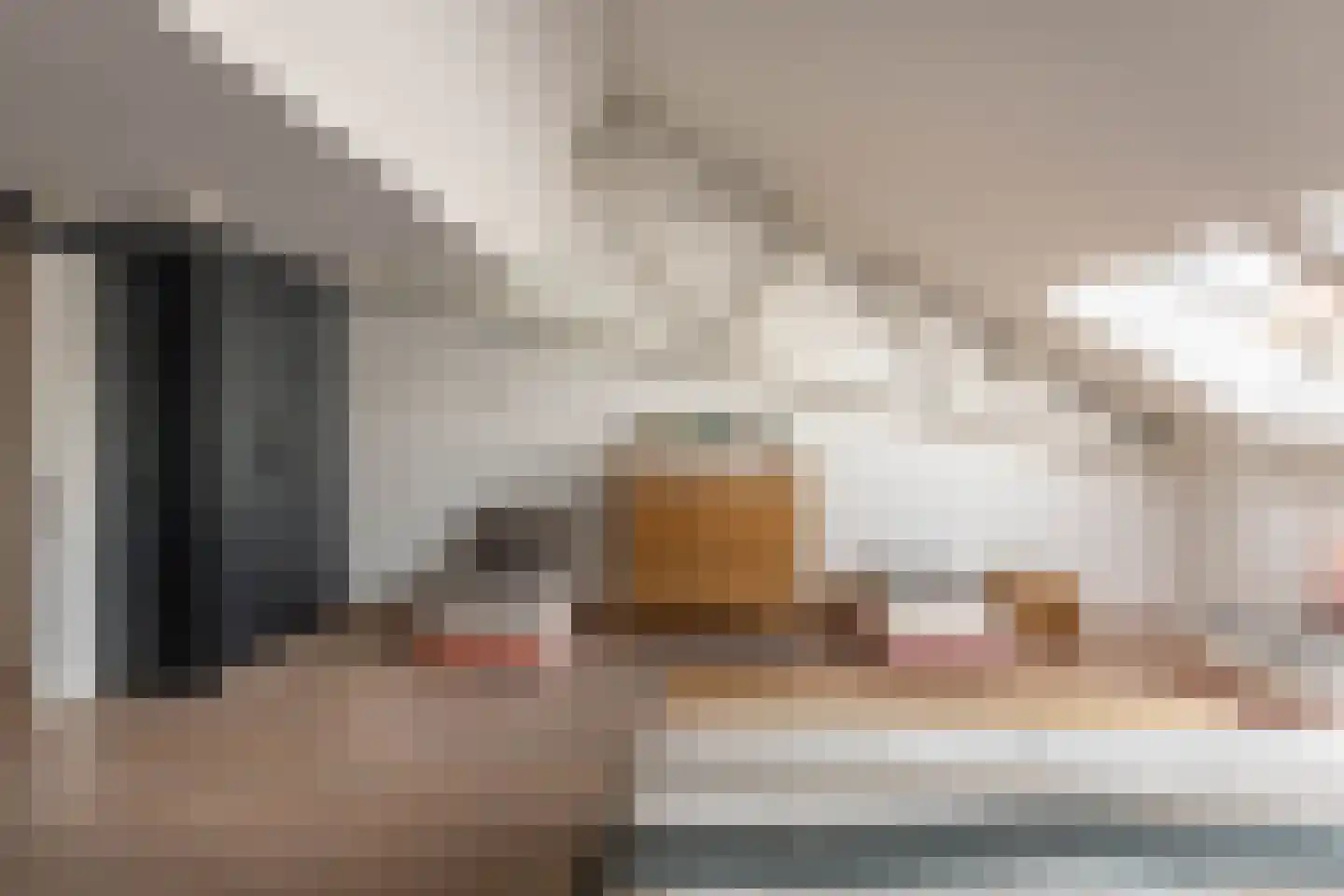 Nieuwe Manegeplein 8 Haarlem thumbnail 23