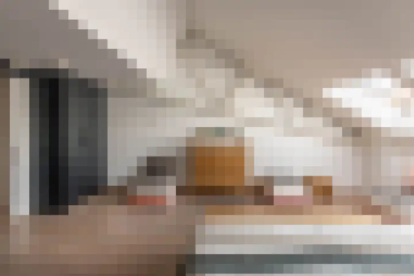 Nieuwe Manegeplein 8 Haarlem thumbnail 23
