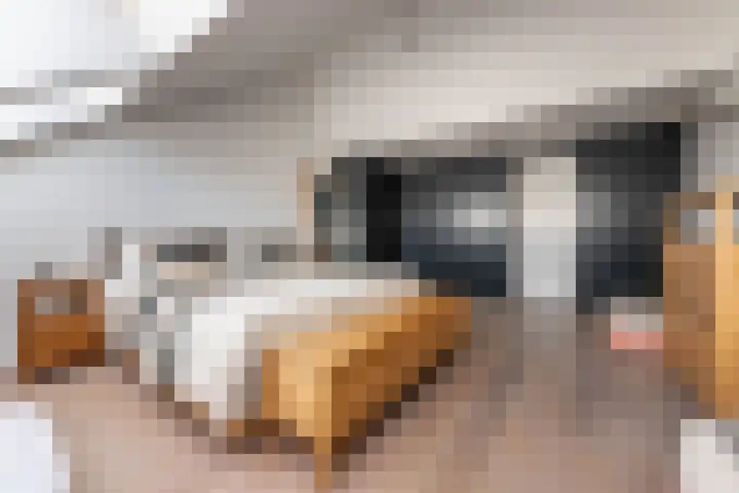 Nieuwe Manegeplein 8 Haarlem thumbnail 24