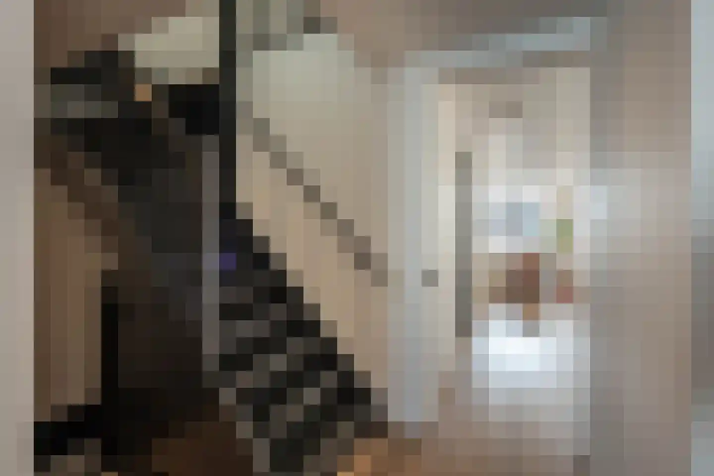 Nieuwe Manegeplein 8 Haarlem thumbnail 29