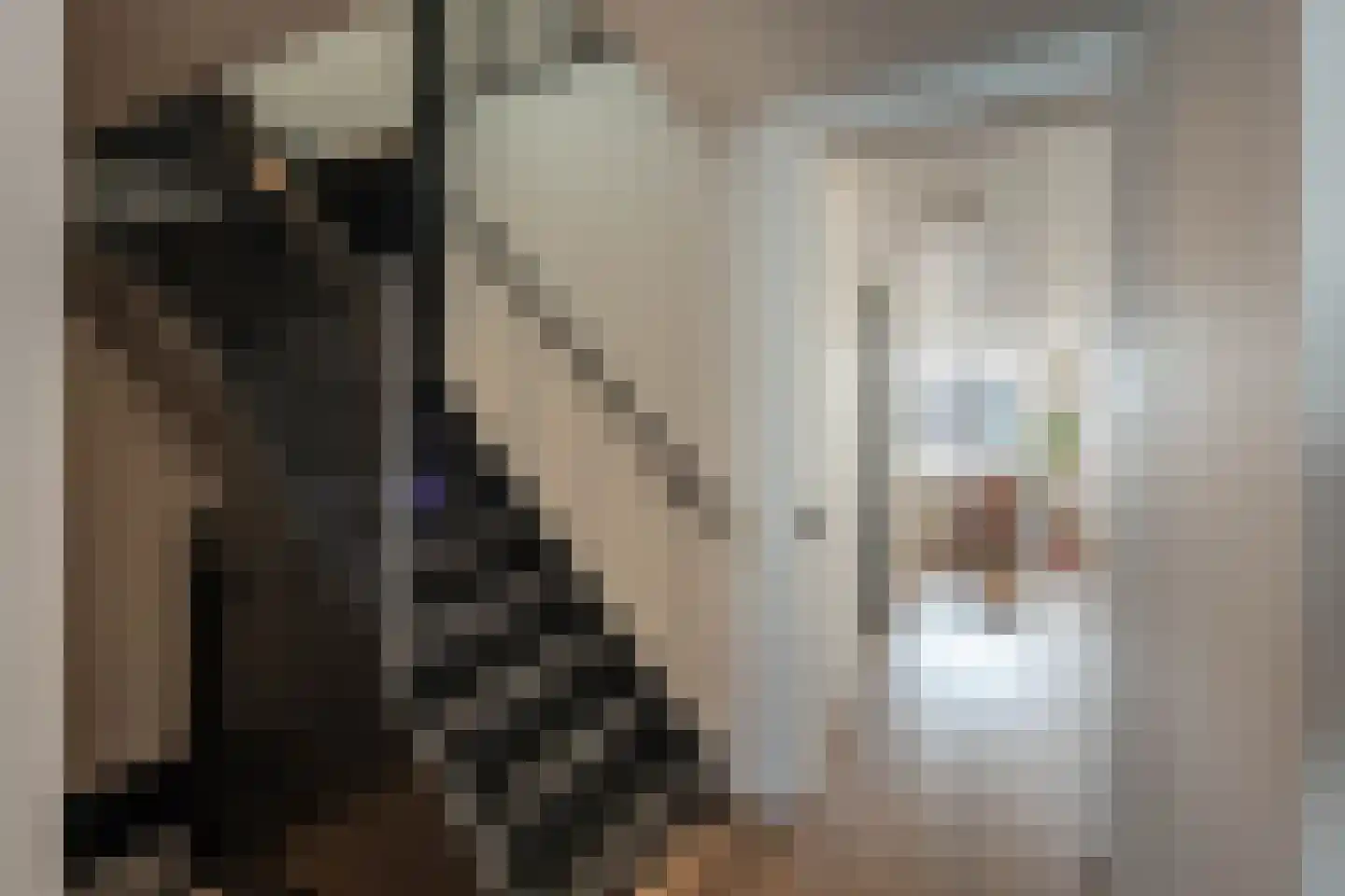 Nieuwe Manegeplein 8 Haarlem thumbnail 29