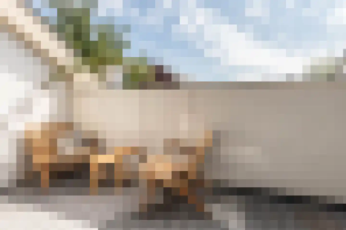 Nieuwe Manegeplein 8 Haarlem thumbnail 33