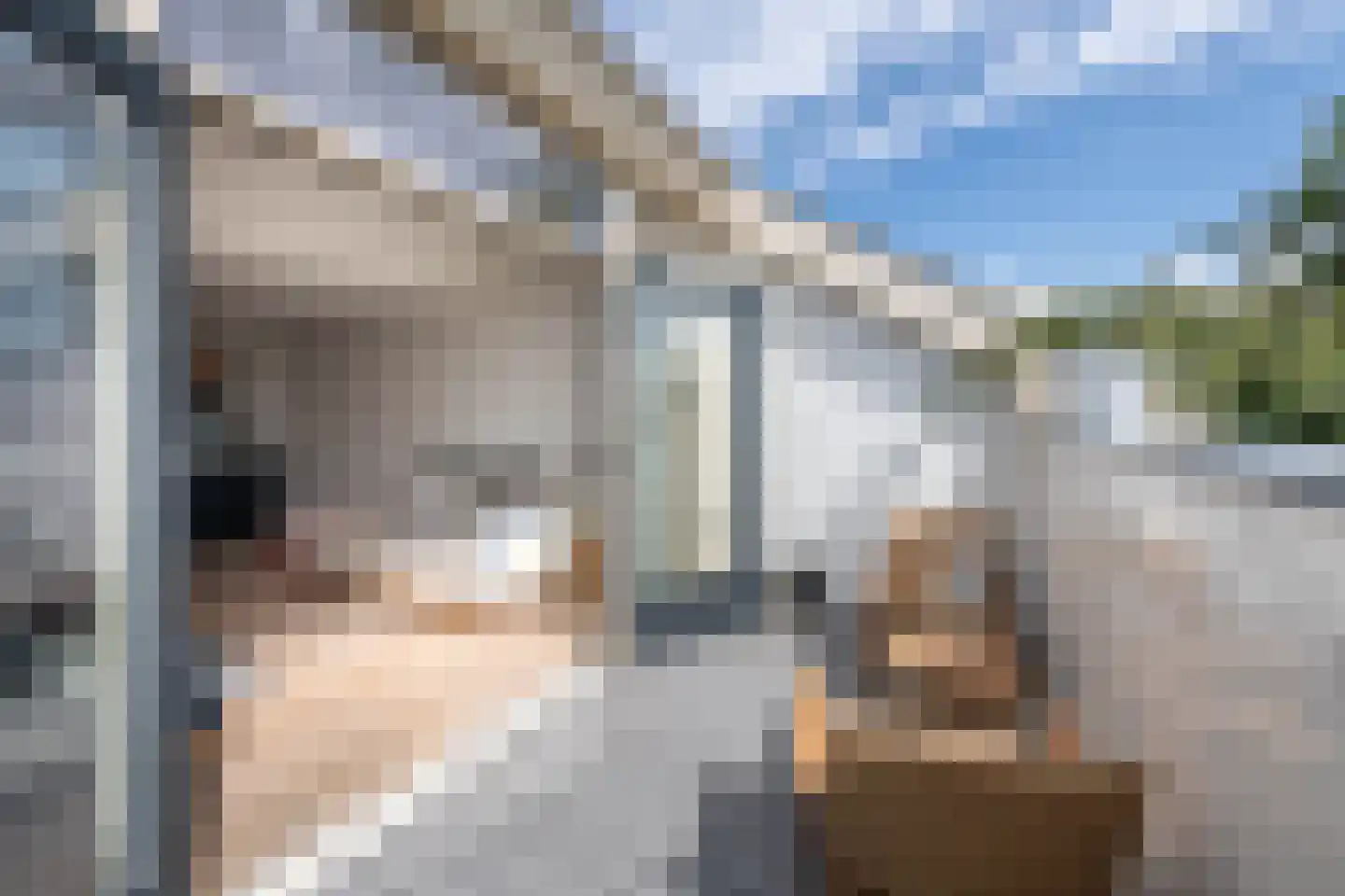 Nieuwe Manegeplein 8 Haarlem thumbnail 34