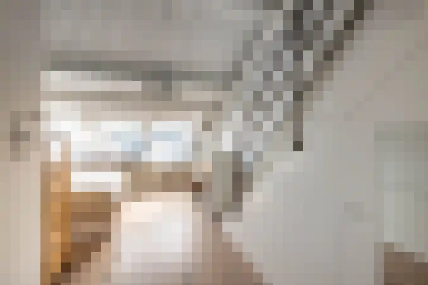 Nieuwe Manegeplein 8 Haarlem thumbnail 36