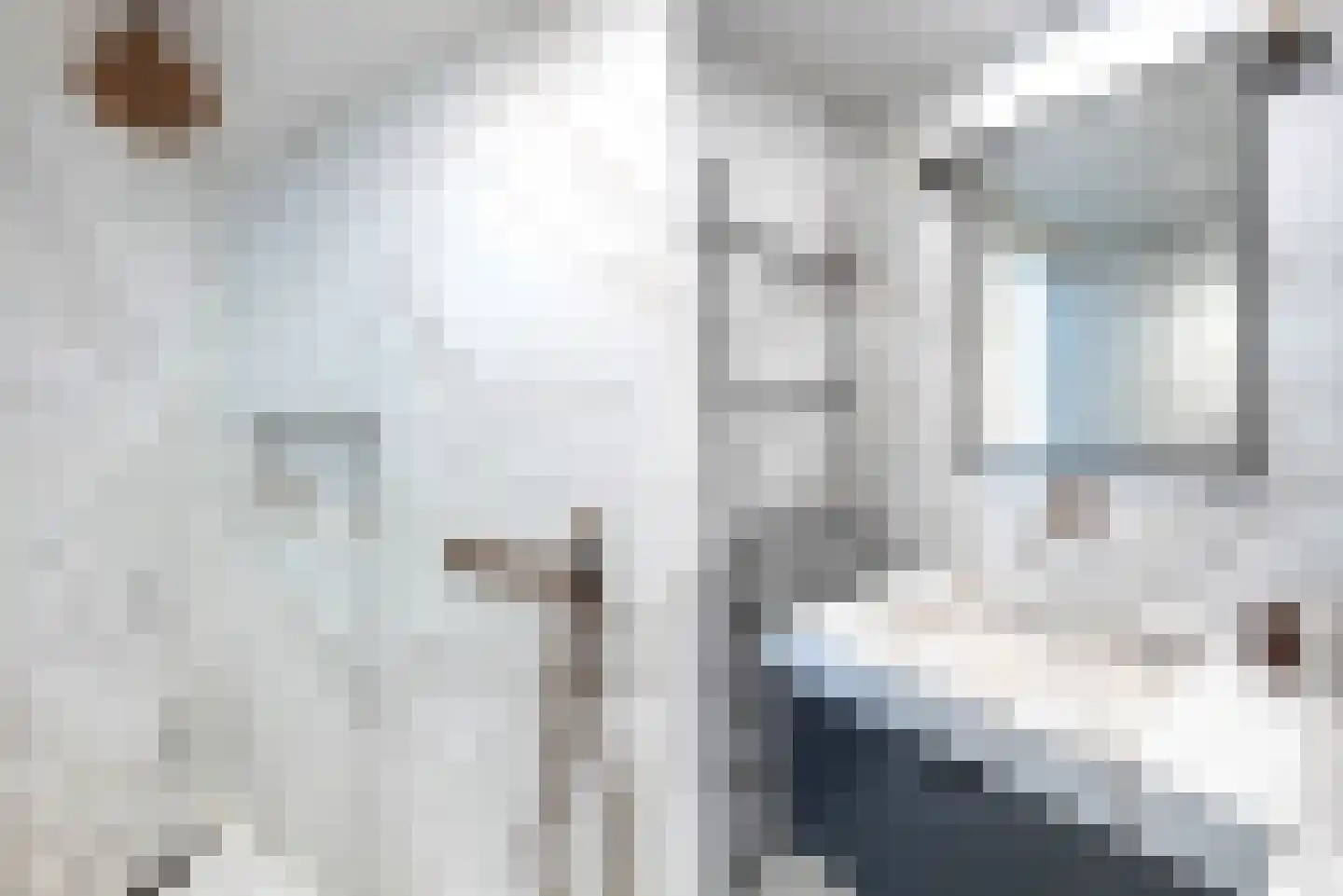 Nieuwe Manegeplein 8 Haarlem thumbnail 41