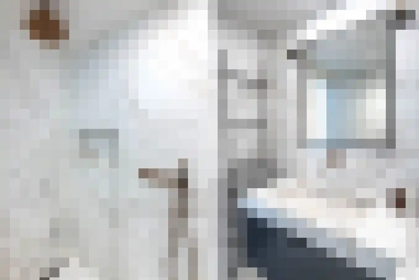 Nieuwe Manegeplein 8 Haarlem thumbnail 41
