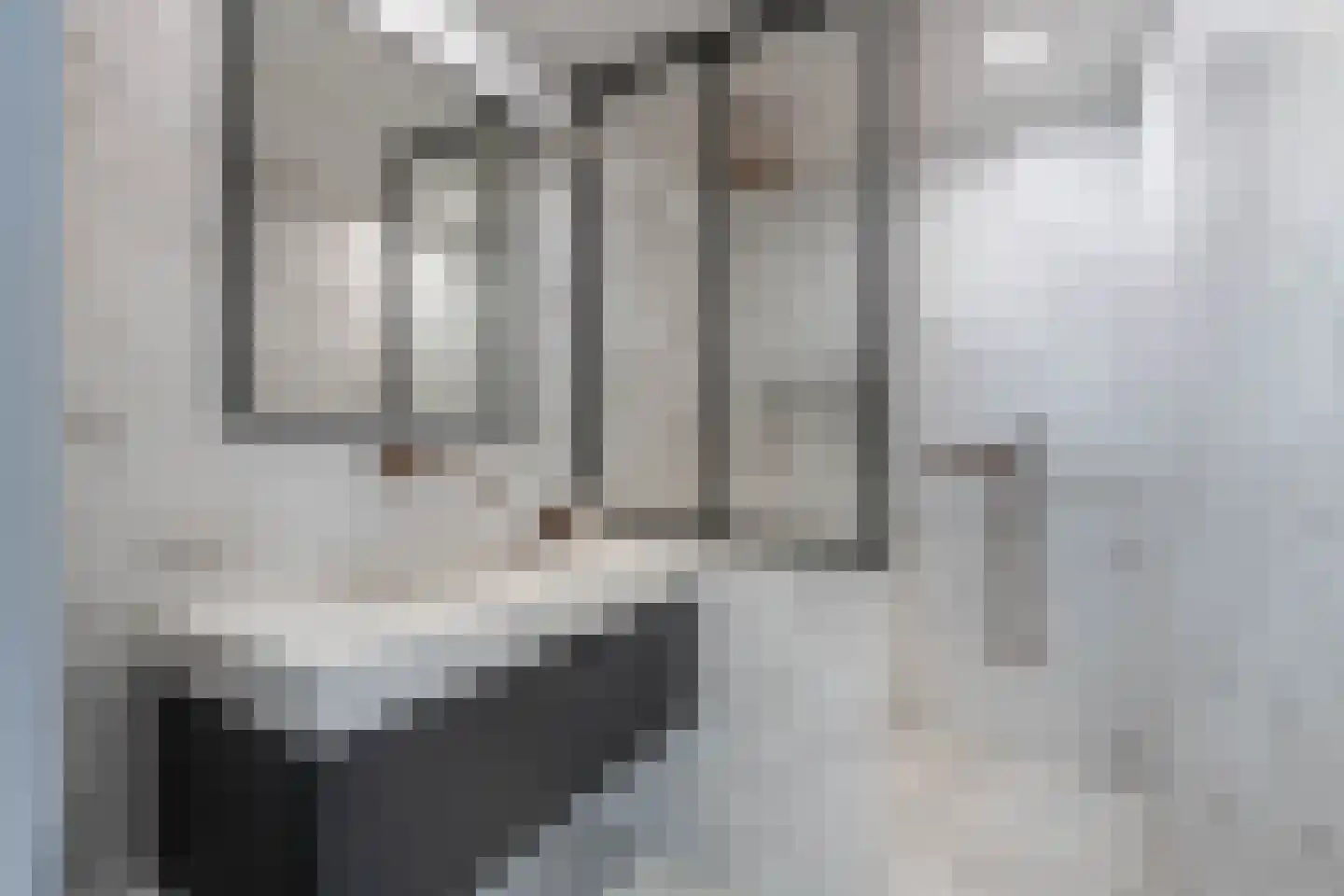 Nieuwe Manegeplein 8 Haarlem thumbnail 42