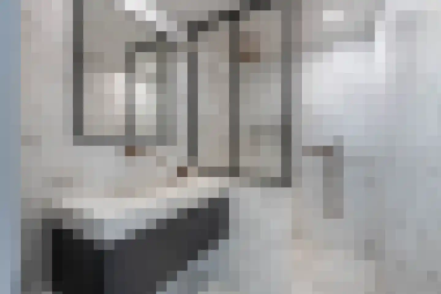 Nieuwe Manegeplein 8 Haarlem thumbnail 42