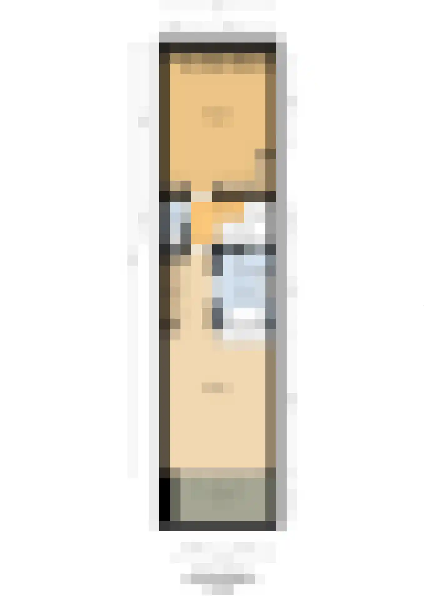 Nieuwe Manegeplein 8 Haarlem thumbnail 54