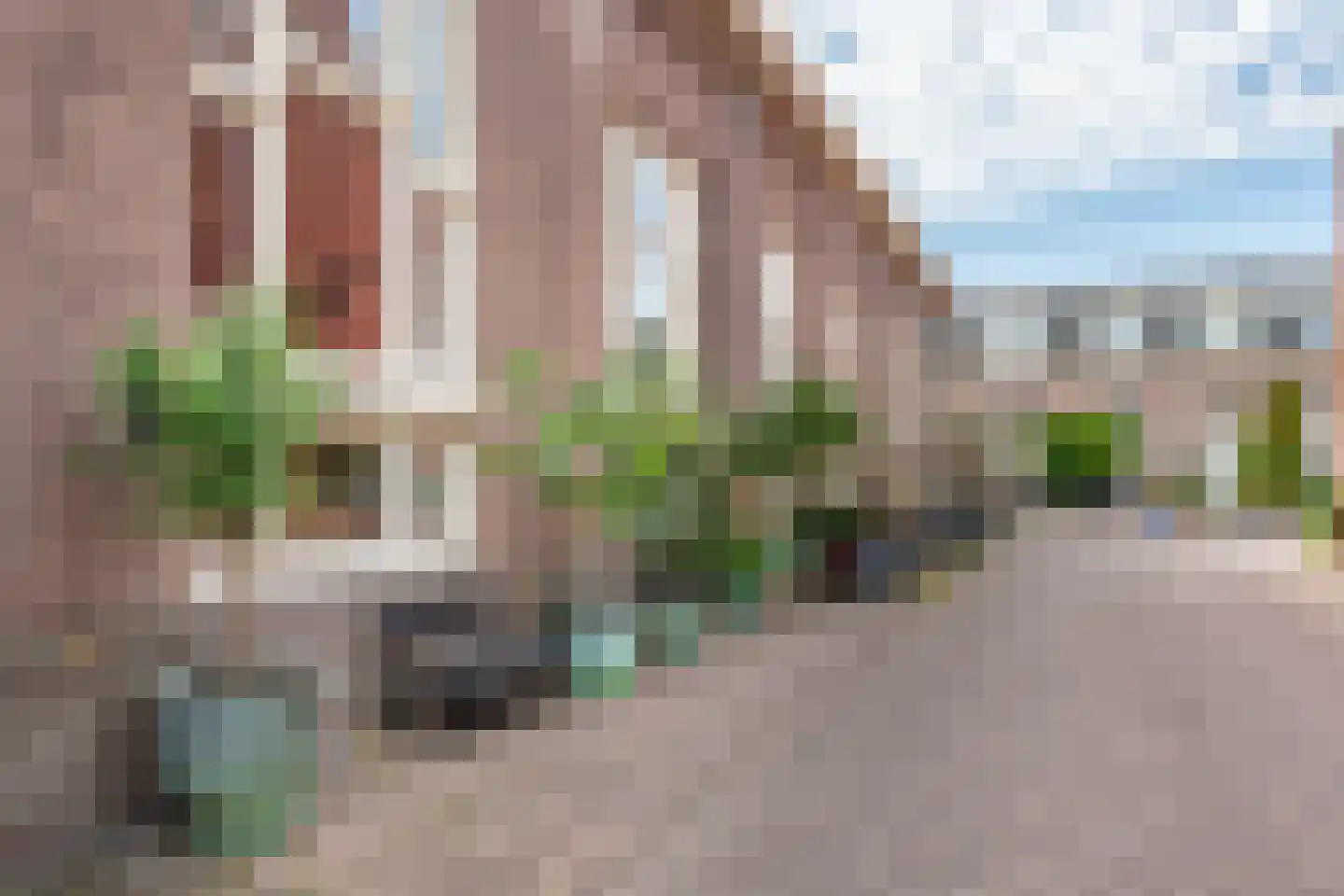 Nieuwe Manegeplein 8 Haarlem thumbnail 6