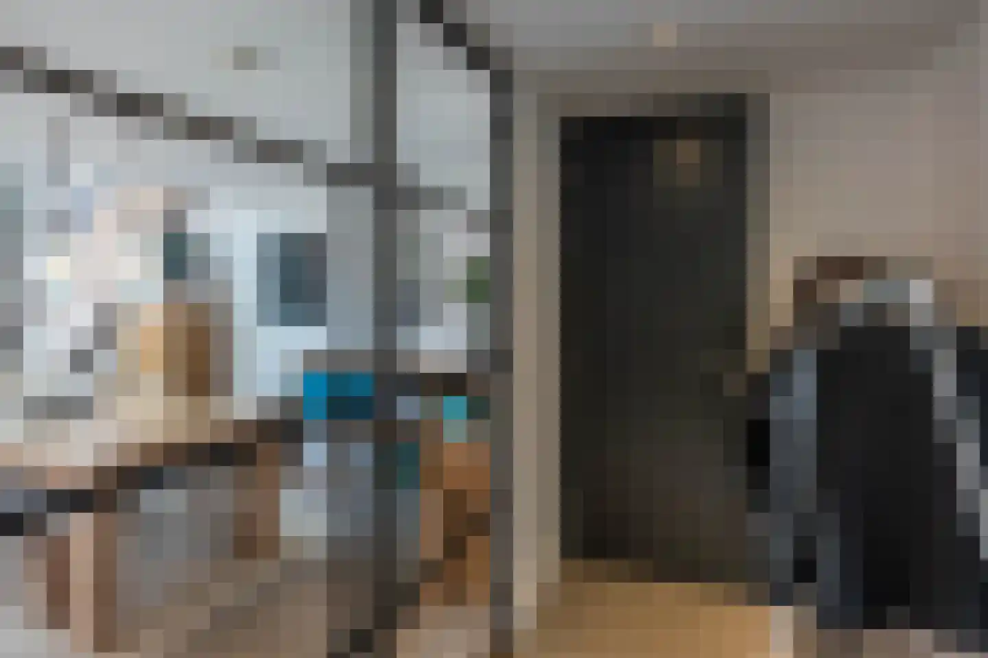 Nieuwe Manegeplein 8 Haarlem thumbnail 7