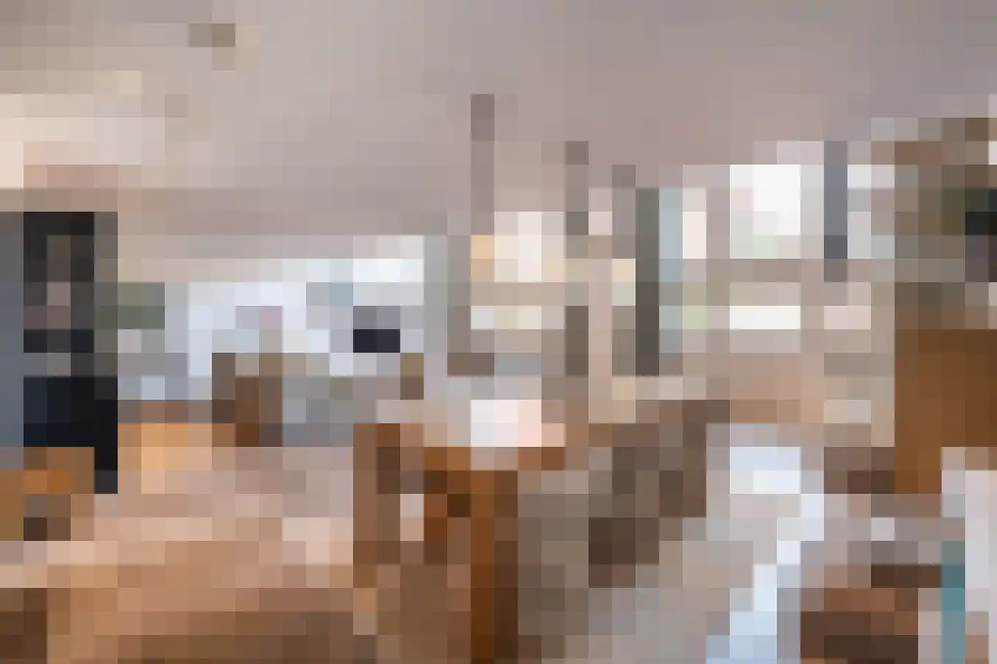 Nieuwe Manegeplein 8 Haarlem thumbnail 9