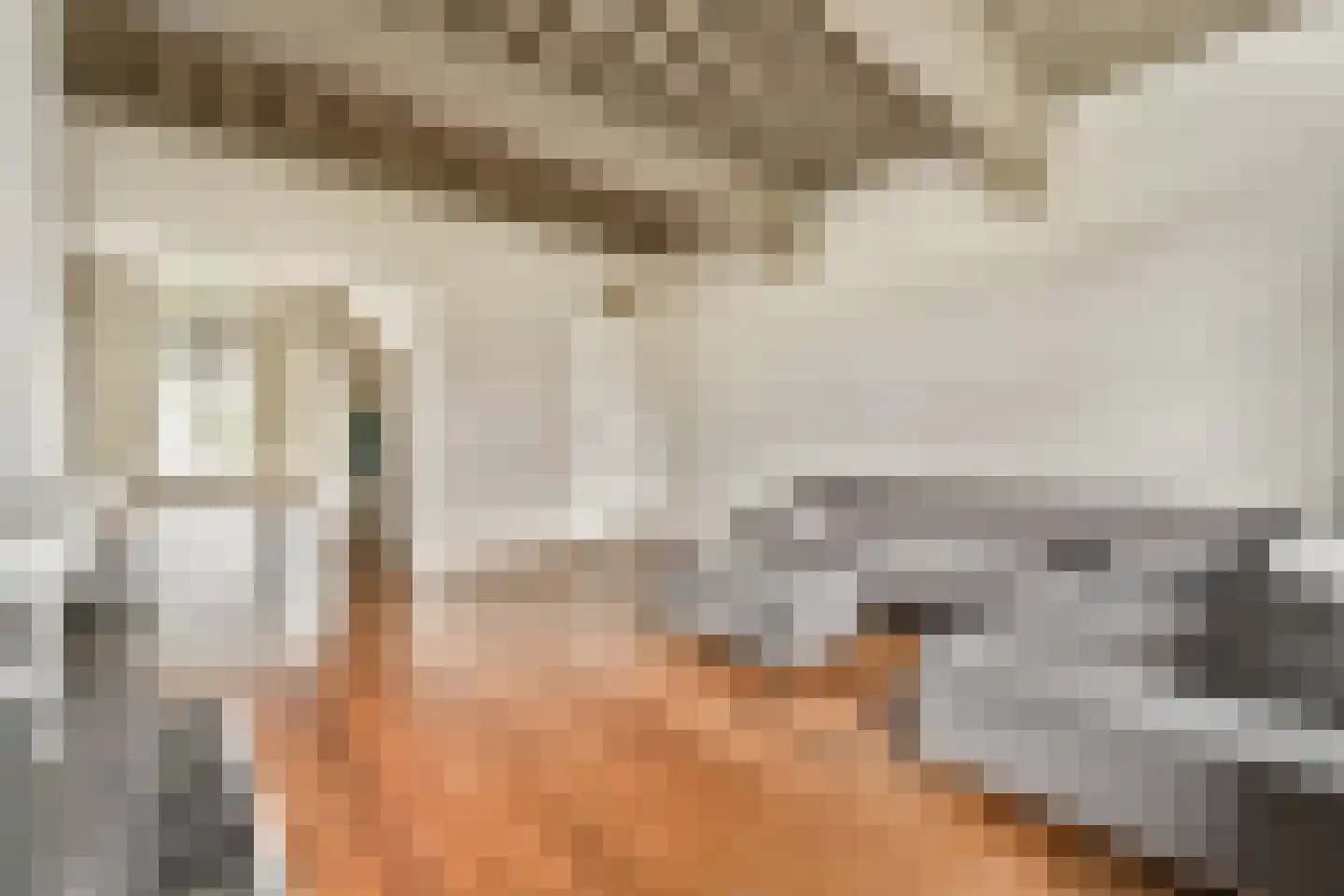 Nieuwe Mare 27 Leiden thumbnail 12